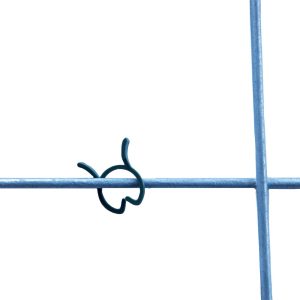 Alternative view of 100 Hedera Klemmetjes