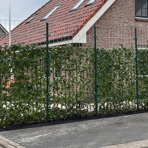 Kant-en-klaar haag